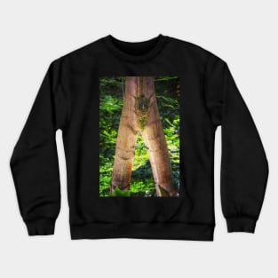 Tree legs Crewneck Sweatshirt